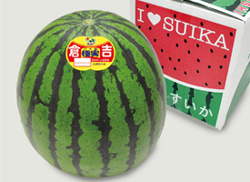 すいか_極実すいか