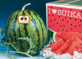 すいか_倉吉すいか